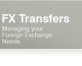 FXT kümmert sich um Ihre Devisenbedürfnisse.